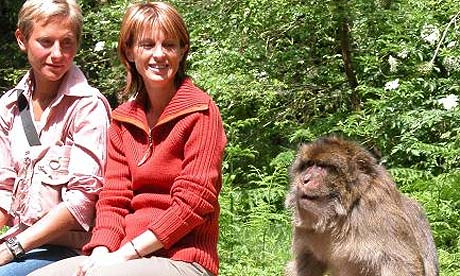 Trentham money forest, Staffordshire