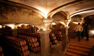 A wine cellar in Bordeaux, France