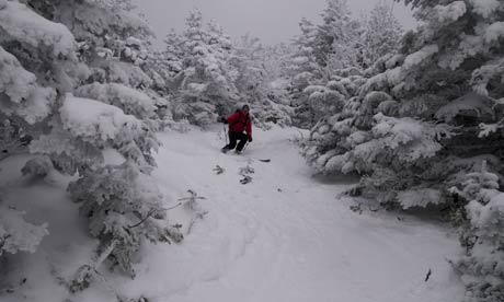 Skiing Vermont's Mount Mansfield forest trails