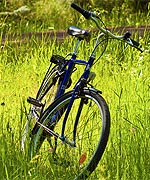 Bicycle in grass