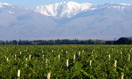 Salentein Vineyards in Argentina
