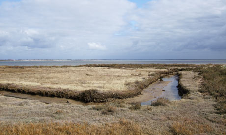 Dengie Peninsula, Essex, UK