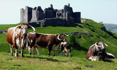 Carreg Cennen Castle, Wales