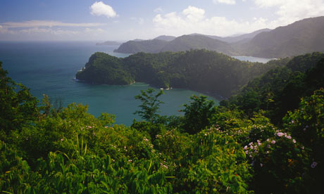 Forest above Maracas beach, Trinidad and Tobago