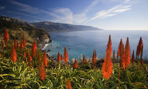 Big Sur's coastline