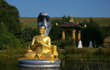 buddhist single women in scotland Scotland single buddhist women want to meet you zoosk online dating is the smart way to date zoosk online dating is the smart way to. buddhist single women in scotland Scotland single buddhist women want to meet you zoosk online dating is the smart way to date zoosk online dating is the smart way to.