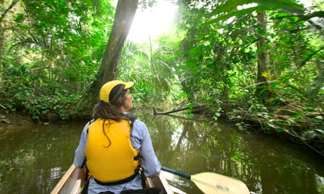 Woman canoeing in rainforest