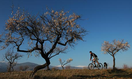 Mountains Of Andalucia