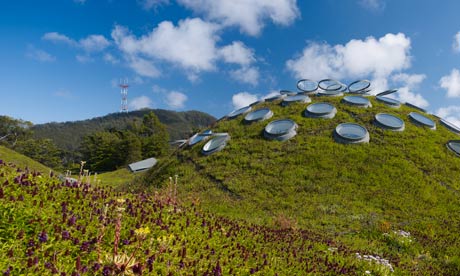 California Academy of Sciences living roof