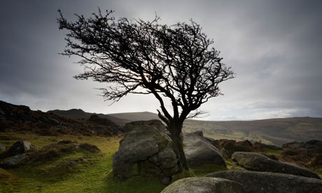 Blowing in the wind … Dartmoor can be a bleak and uninviting place