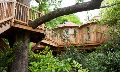 Harptree Court Treehouse