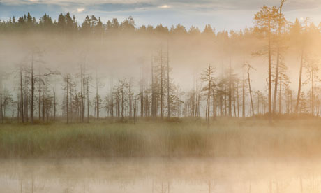 Lake in Varitus, Lentiira, Finland