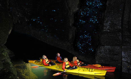 A glow-worm kayak tour on New Zealand's Lake McLaren