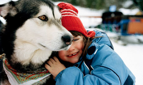 Go husky riding – in Gloucestershire