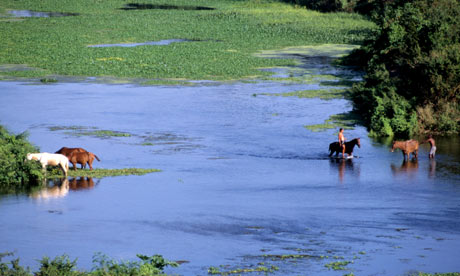 Explore the countryside near Trinidad, Cuba, on horseback