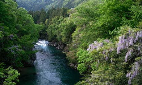 The Maze river