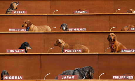 UN Dachshunds art installation by Bennett Miller