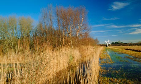 Wicken Fen