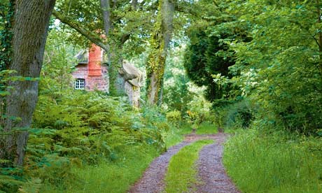 A path through Ashclyst forest, Devon