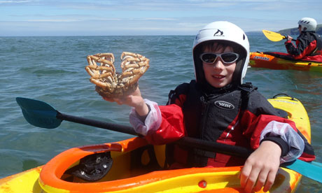 kayak foraging, pembrokeshire