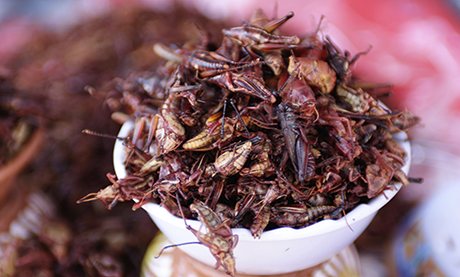 Grasshoppers fried in chilis, Mexico