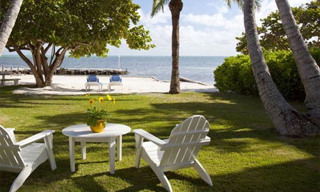 Pine and Palms, Islamorada, Florida