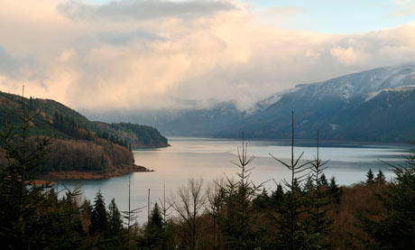 Mossyrock Park, Washington
