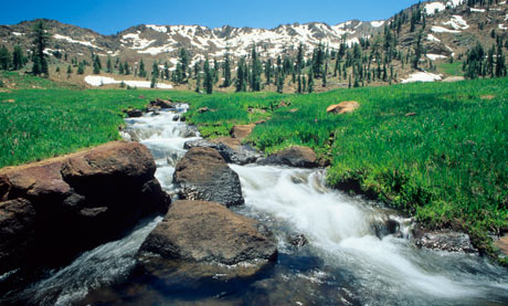 Goldfield Hayfork California
