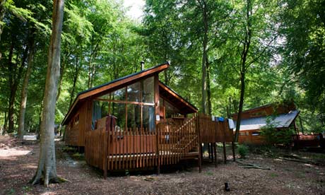 Blackwood Forest Golden Oak cabin