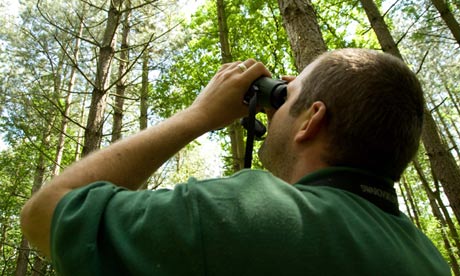 A man looking through a pair of binoculars into the tree canopy