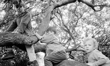Children playing in a tree