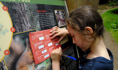 A young girl on a trail in Whinlatter Forest in the Lake District