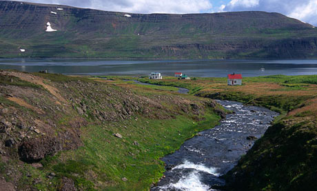 Hornstrandir, Iceland