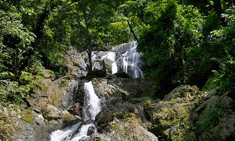 Argyle waterfall inside rainforest, Tobago.