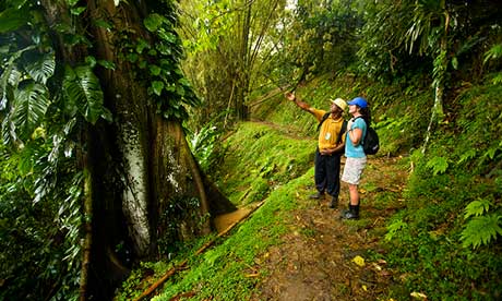 Hiking the Main Ridge, Tobago