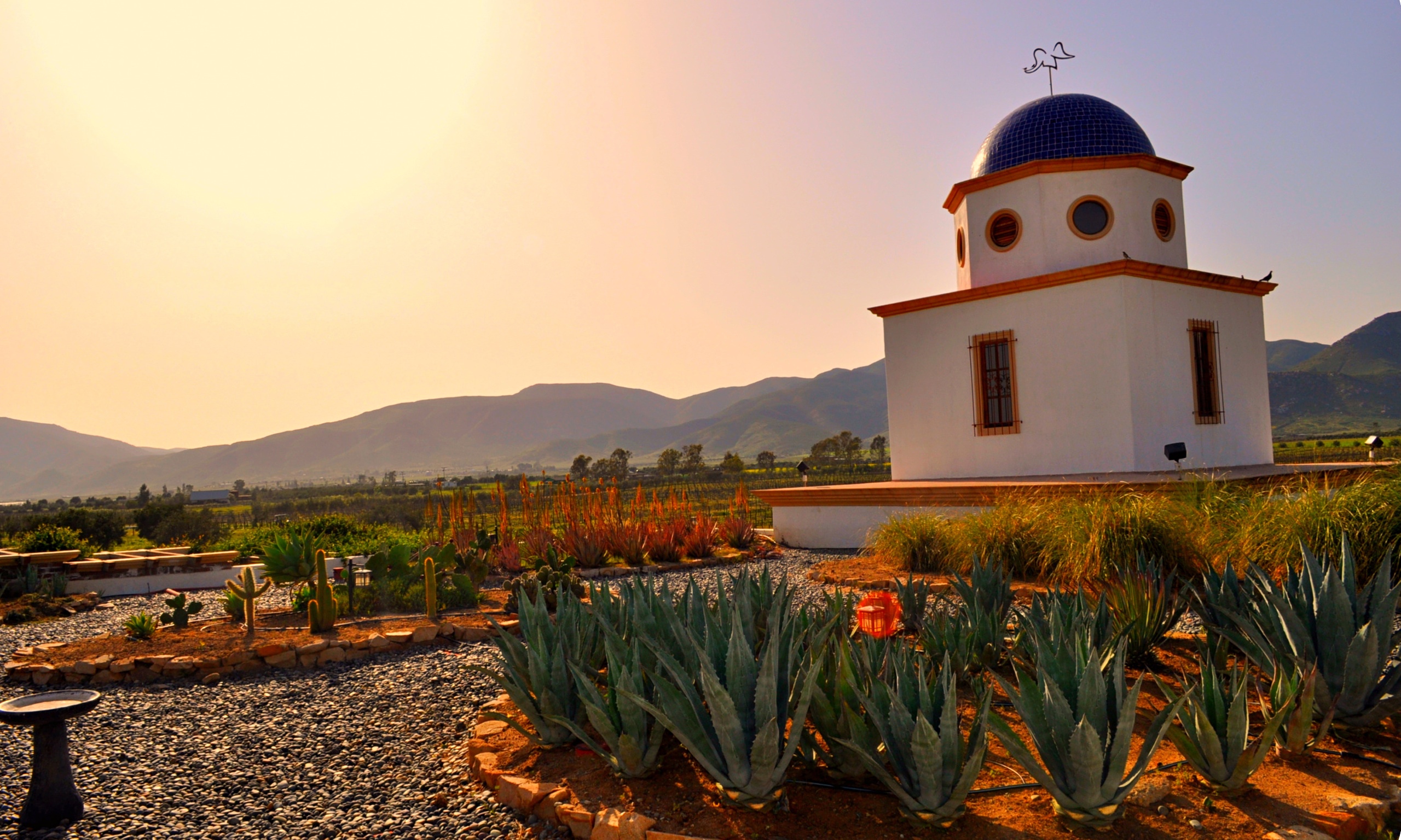 Mexico's exciting new wine trail Valle de Guadalupe Travel The