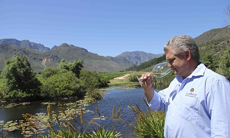 Glenwood winery, South Africa