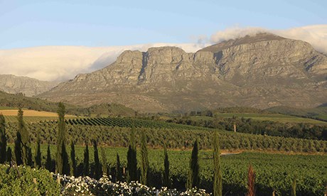 Cape wine route, South Africa