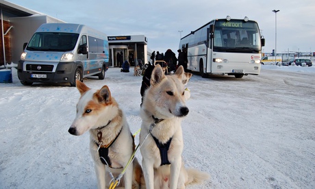 Kirkenes Hotel Husky Taxi