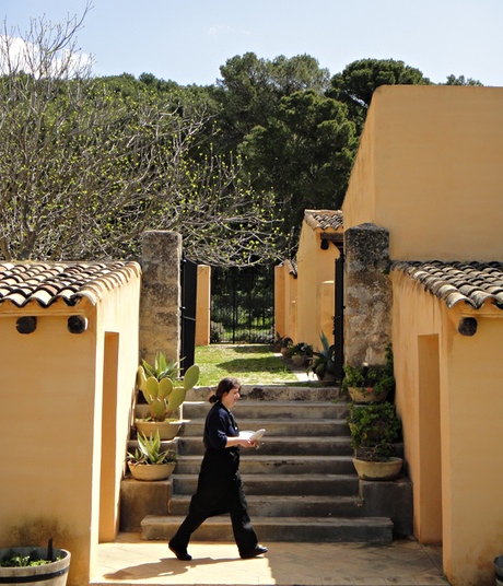 Lunch preparations at Ulmo winery