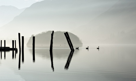 Geese on Derwentwater