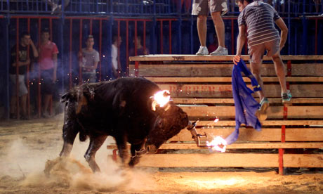 Raton the bull at a festival in Sueca,near Valencia, Spain