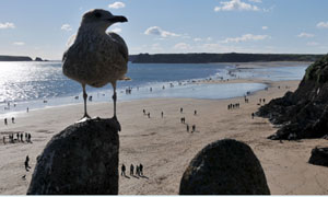 Wales Coast Path: A postcard from Tenby by the Manics' Nicky Wire - audio slideshow