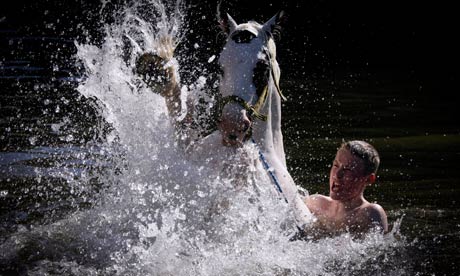 Appleby Horse Fair, June 2011, part of Mark Pinder's exhibition at Hexham Queens Hall