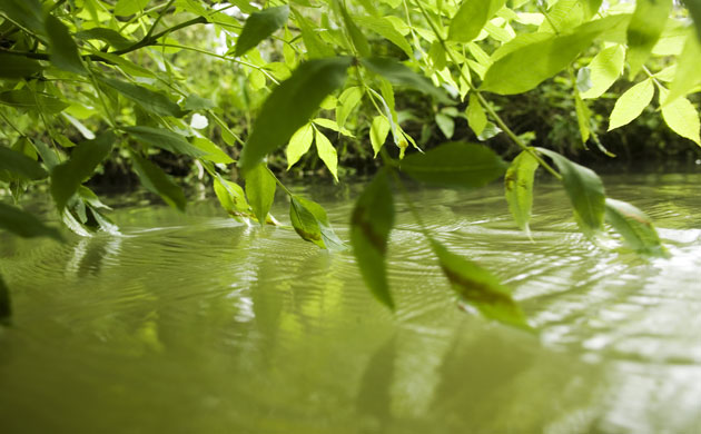 Outdoor swimming