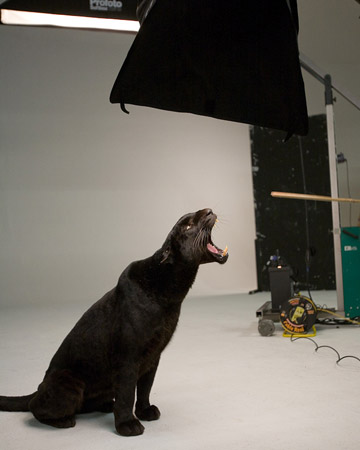 Lily Allen photoshoot