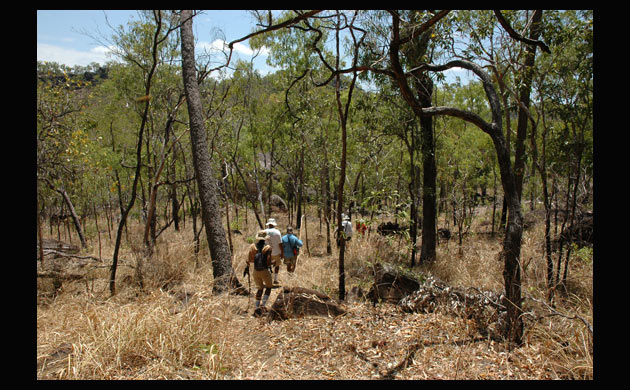 Jowalbinna rock art safari