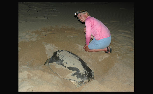 Sandy and a flatback turtle