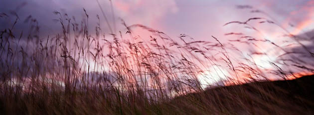 Jamie Baker South America