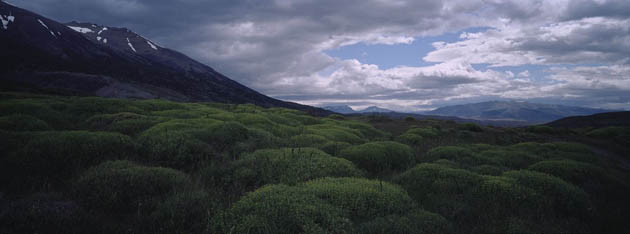 Jamie Baker South America